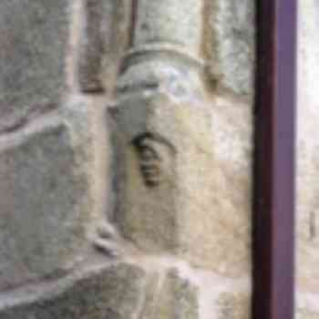 Click para ampliar. Pulsa en el nombre para ver la ficha. Figa